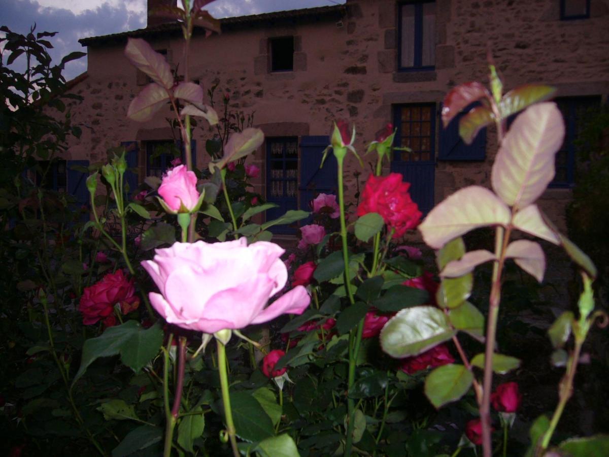 La petite Vallee La Chapelle-Largeau Esterno foto